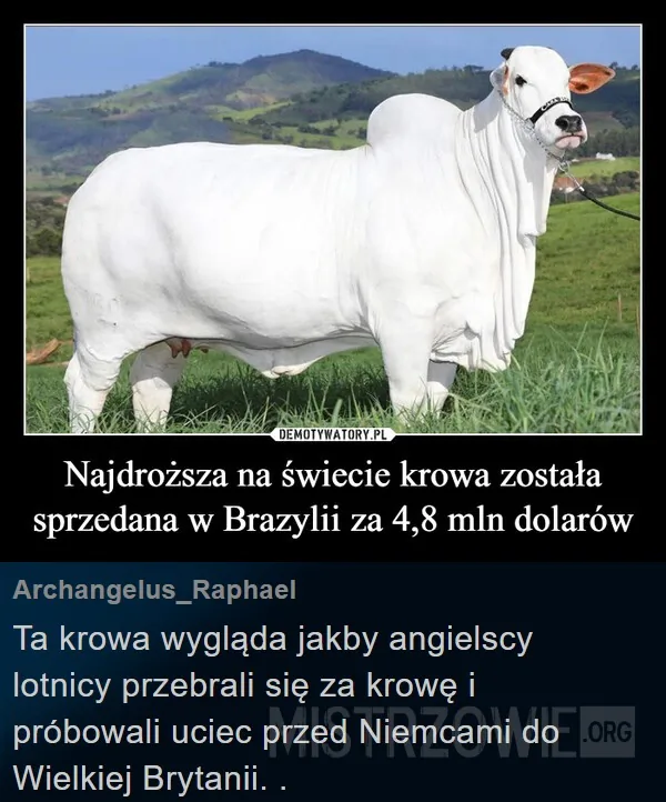 Okres łowiecki –