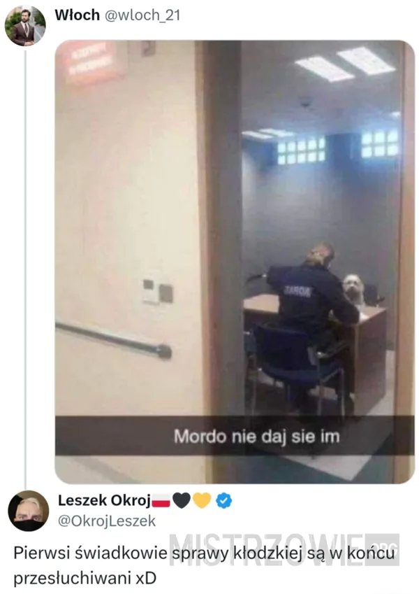 Bójka kobiet –
