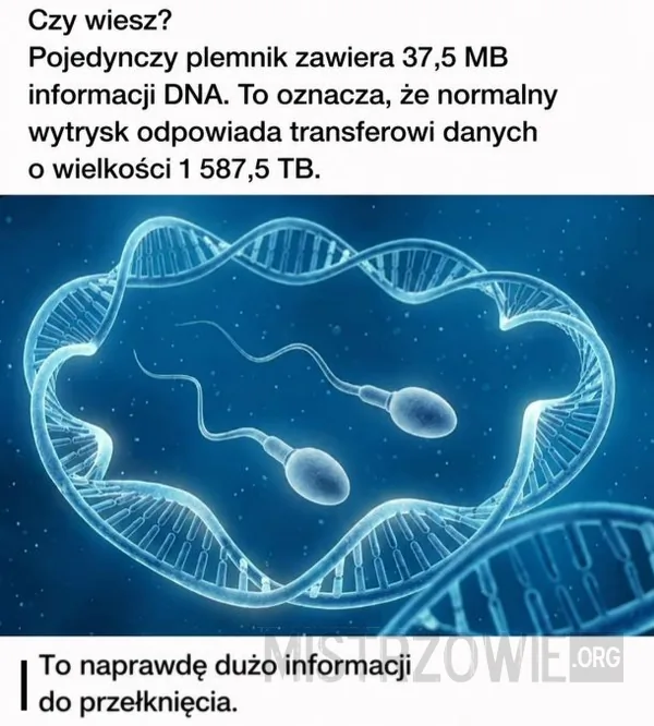 Narkotyki –
