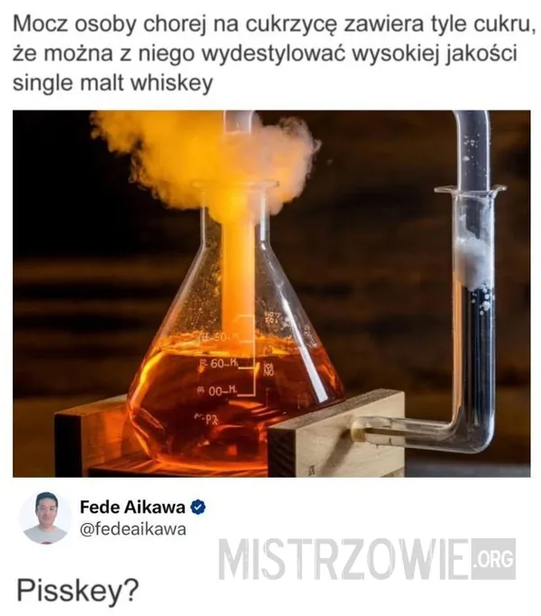 Trochę luksus, a trochę jednak bagno –