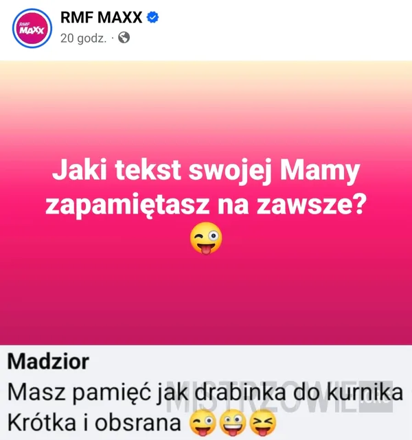 Saper podczas prac domowych –