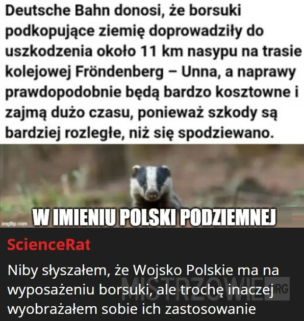 Co ta Anka –