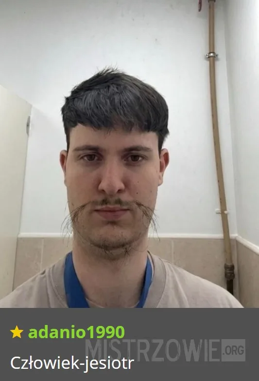 Jak ludzie... –