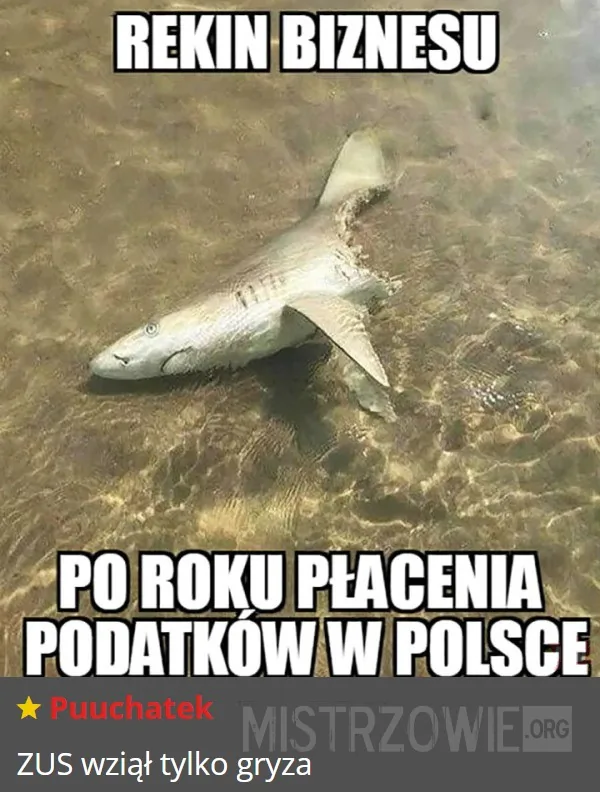 Główna wartość dla Polaków –