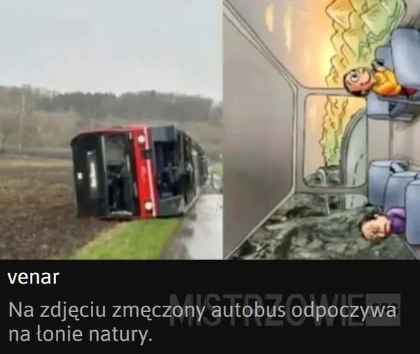 Zioło –