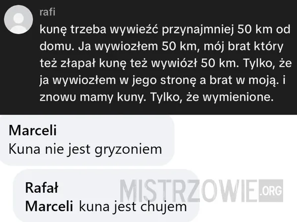 Kruszwil –