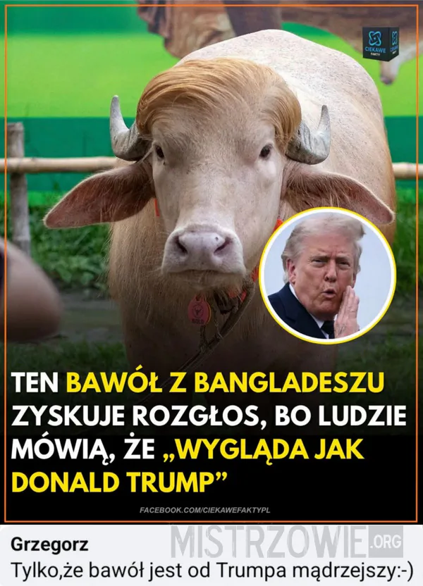 Randka –